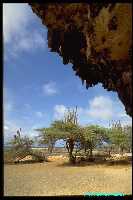 Indian Writings on Bonaire