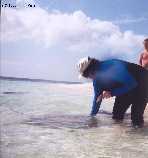 Feeding the stingrays on Gibb's Cay